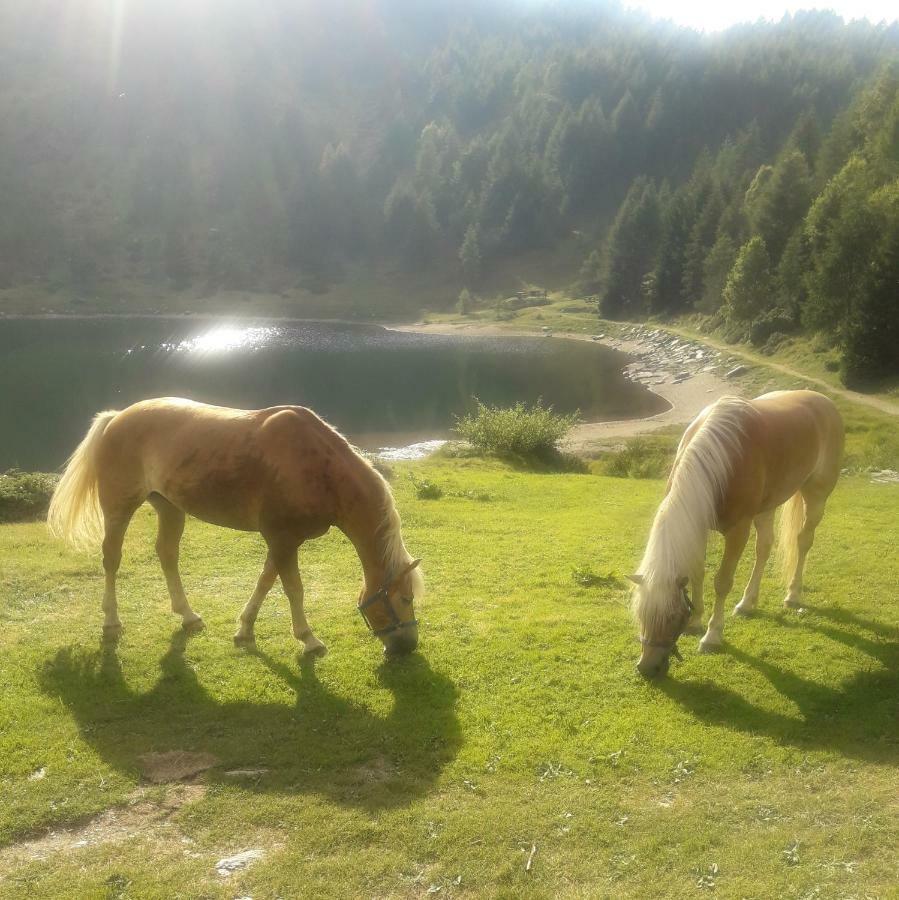 Rifugio Al Lago Del Mortirolo In Inverno Raggiungibile Solo A Piedi Monno